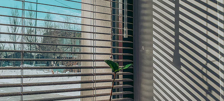 Commercial Window Blinds in Greenacres, FL