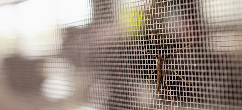 Repair Mosquito Mesh For Windows in Greenacres, FL