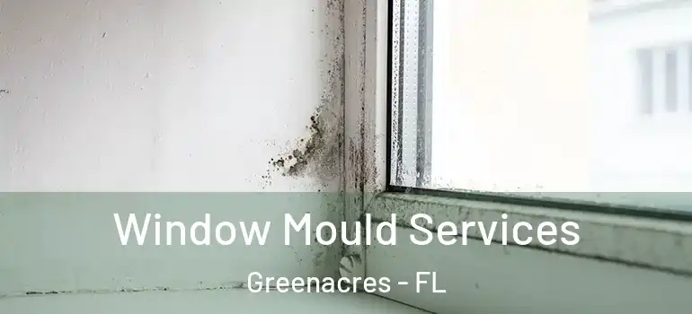  Window Mould Services Greenacres - FL